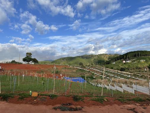 Gần chùa Linh Ẩn, bán đất chỉ 2tr/m2, sẵn 100m2 thổ cư