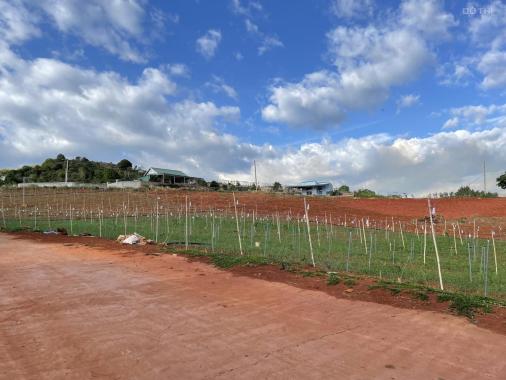 Gần chùa Linh Ẩn, bán đất chỉ 2tr/m2, sẵn 100m2 thổ cư