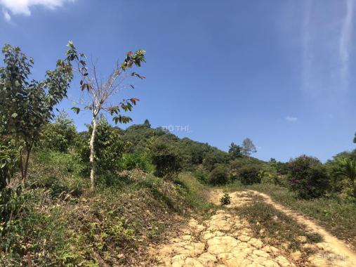 Bán 1.1 ha đất Thanh Sơn - Huyện Tân Phú giá ngộp view Hồ Đa Tôn