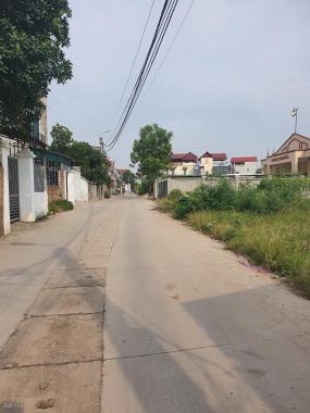 Chính chủ bán đất Quang Minh, Mê Linh, DT 88,6m2, MT 4,93m. 2 mặt thoáng cạnh nhà văn hóa