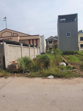 Chính chủ bán đất Quang Minh, Mê Linh, DT 88,6m2, MT 4,93m. 2 mặt thoáng cạnh nhà văn hóa