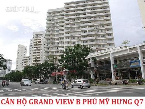 Bán căn hộ Grand View block B Phú Mỹ Hưng Q7 gần trường Đinh Thiện Lý