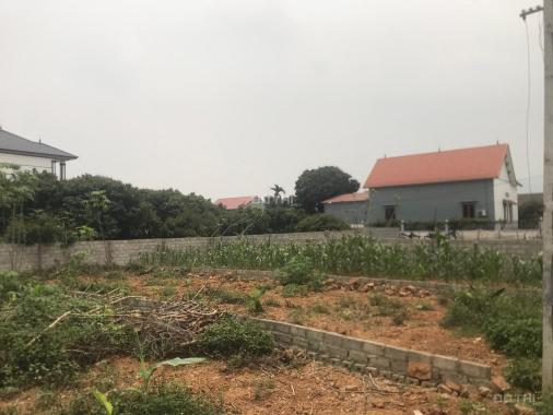 Bán đất tại Thồn Nghè 2, Xã Tiên Nha, Lục Nam, Bắc Giang diện tích 97.1m2 giá 700 Triệu