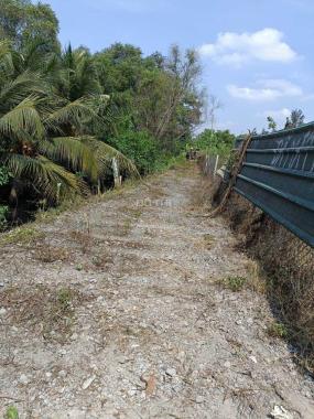Bán đất: 1.000m2 Đường An Hạ, xã Phạm Văn Hai, huyện Bình Chánh
