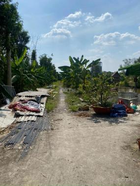 Bán đất: 1.000m2 Đường An Hạ, xã Phạm Văn Hai, huyện Bình Chánh