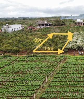 Đất thổ cư view cánh đồng đẹp lung linh chỉ 350tr cho 390m2 gần TP PleiKu