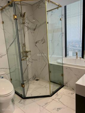 Cho thuê căn hộ chung cư tầng cao 100m2 tòa S4 Sunshine City Ciputra