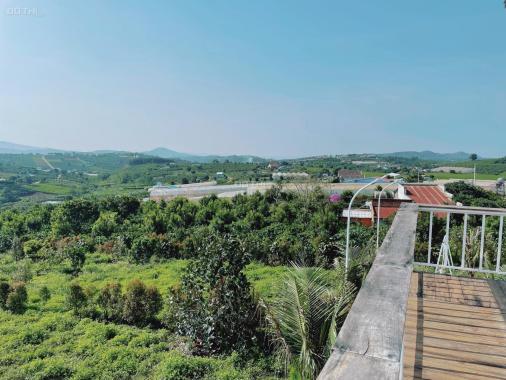 Bán homestay phía Nam Đà Lạt, view nghỉ dưỡng cực chill