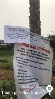 Bán nhà riêng tại Liên Hồng, Xã Vô Tranh, Phú Lương, Thái Nguyên diện tích 217m2 giá 700 Triệu