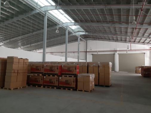 Cho thuê kho 1.122m2 KCN Cát Lái, phường Thạnh Mỹ Lợi, Quận 2, TP. HCM