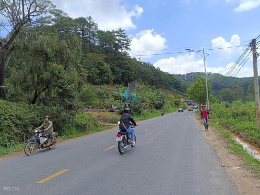 Bán trang trại, khu nghỉ dưỡng tại đường Mimosa, Phường 10, Đà Lạt, Lâm Đồng diện tích 7154m2