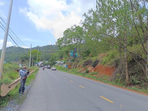 Bán trang trại, khu nghỉ dưỡng tại đường Mimosa, Phường 10, Đà Lạt, Lâm Đồng diện tích 7154m2