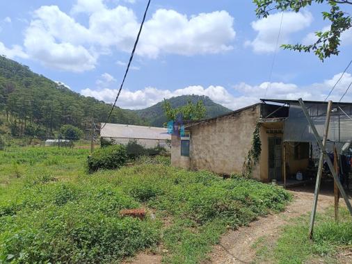 Bán trang trại, khu nghỉ dưỡng tại đường Mimosa, Phường 10, Đà Lạt, Lâm Đồng diện tích 7154m2