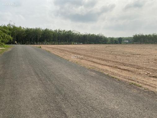 Chính chủ cần bán đất phường Thạnh Phước, Tân Uyên, Bình Dương, giá đầu tư