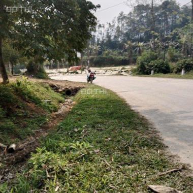 Bán đất tại đường 70, Xã Bản Phiệt, Bảo Thắng, Lào Cai