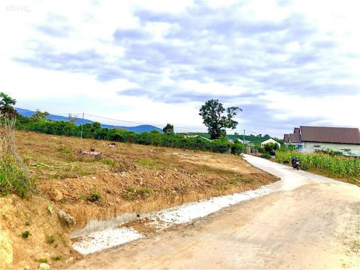 Bán 4 sào đất Mê Linh, 2 mặt tiền đường, sẵn 1800m2 thổ cư