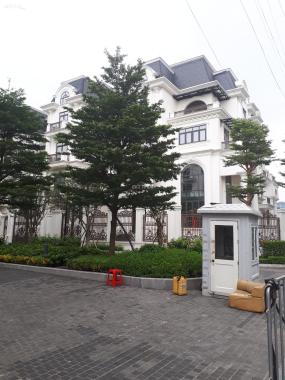 Biệt thự đơn lập 300m2 đẹp cho người sành