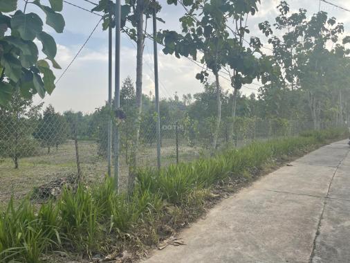 Bán 1 sào đất Phú Thịnh, Huyện Tân Phú Chính chủ sầu riêng 4 năm 750 triệu