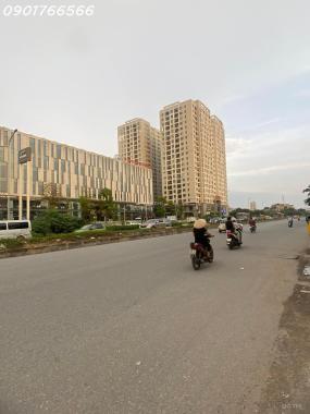 Bán Đất, Mặt Phố Tam Trinh, Quận Hoàng Mai,  202m, Mt 7m, Giá 36 tỷ.