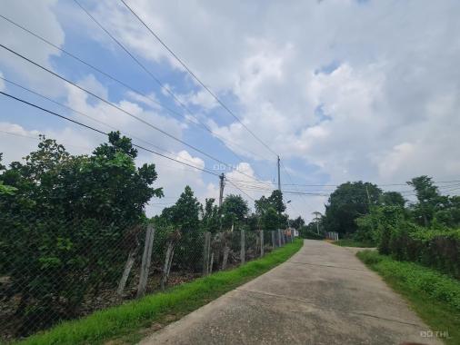 Bán 5.4 sào đất GIÁ RẺ Phú Thịnh - Huyện Tân Phú đường bê tông
