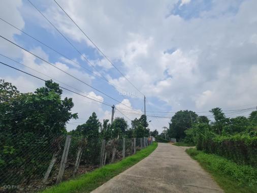 Bán 5.4 sào đất GIÁ RẺ Phú Thịnh - Huyện Tân Phú đường bê tông