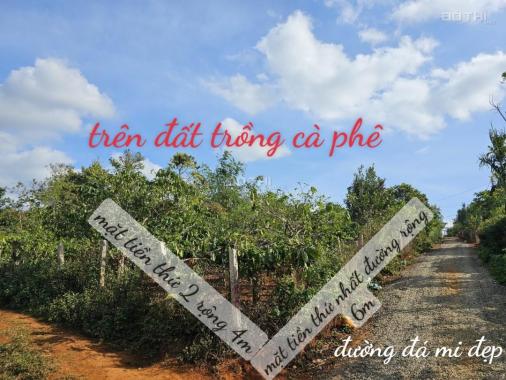 BÁN 3 LÔ LIỀN KỀ SIÊU ĐẸP XÃ CƯ NÉ, HUYỆN KRÔNG BUK, ĐẮK LẮK - GIÁ ĐẦU TƯ F0
