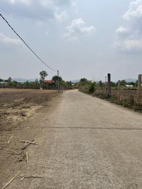 GIÁ NIÊM YẾT 290 TRIỆU TẶNG NGAY 2 CHỈ VÀNG