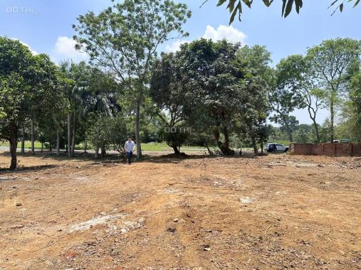 Chủ nhà gửi bán lô đất nền duy nhất vị trí cực đẹp tại Phú Cát- Hòa Lạc nằm cạnh quần thể Khu du lị