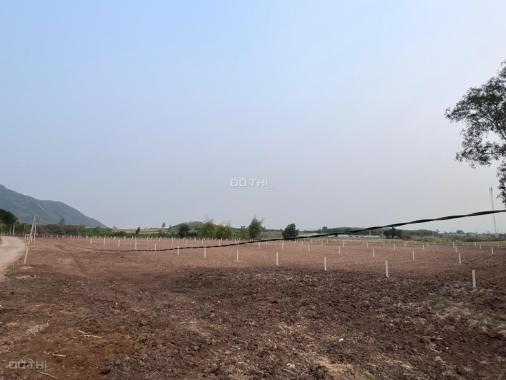 ALO ALO !!! Ở ĐÂY BÁN ĐẤT NGỘP GIÁ RẺ