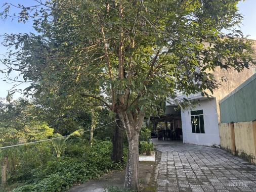 Định cư nước ngoài chính chủ cần bán nhà vườn 100% thổ cư ở Thôn Phong Nam, Hoà Châu, Hoà Vang