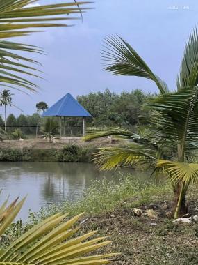 Bán đất tại Xã Xuân Trường, Xuân Lộc, Đồng Nai diện tích 7000m2