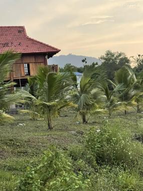 Bán đất tại Xã Xuân Trường, Xuân Lộc, Đồng Nai diện tích 7000m2