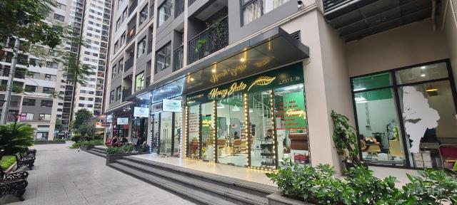 Đầu tư Shophouse chân đế vinhomes smart city vốn chỉ từ 3 tỷ cho thuê 55tr/ tháng