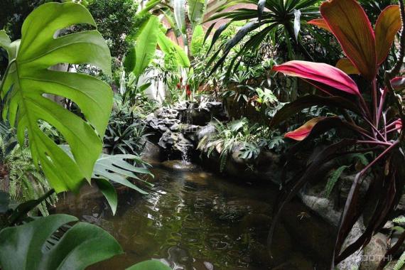 Bán Gấp Siêu Phẩm Ô Tô Tránh Kinh Doanh, Tô Ngọc Vân Tây Hồ DT 426M 4T MT 20M Giá 145Tỷ