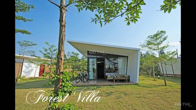 Bán biệt thự mặt hồ Forest Villa Flamingo Đại Lải 140m2