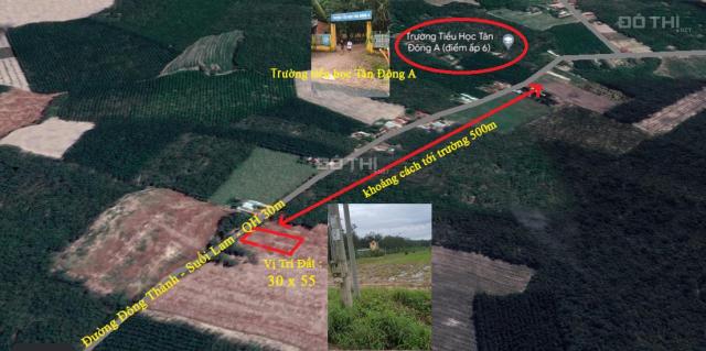 Chính chủ ngộp lãi ngân hàng cần bán gấp đất 1597m2 xã Tân Đông,Tân Châu, đường nhựa 30m.