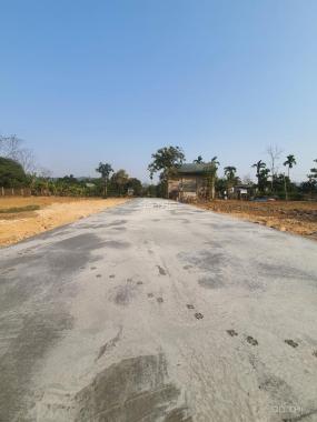 Cần tìm nhà đầu tư với số lượng lớn - bán đất cắt lỗ, mua là thắng