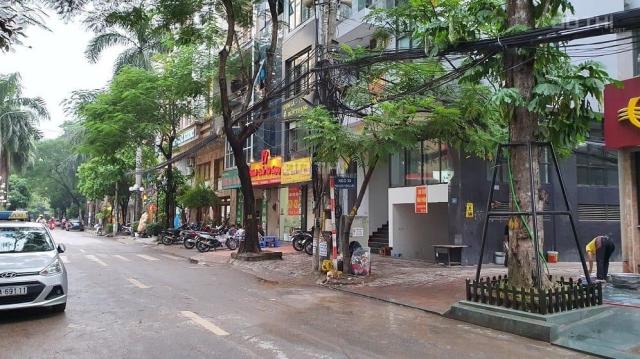 Bán nhà Đội Cấn, ngõ kinh doanh ô tô tránh nhau, cách mặt Đội Cấn 15m