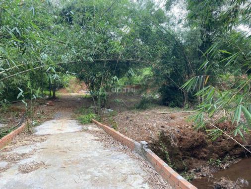 CHÍNH CHỦ BÁN 1,5HA ĐẤT RẪY ĐIỀU SỔ ĐỎ RIÊNG GIÁ TỐT