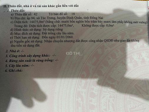 CHÍNH CHỦ BÁN 1,5HA ĐẤT RẪY ĐIỀU SỔ ĐỎ RIÊNG GIÁ TỐT