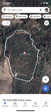 CHÍNH CHỦ BÁN 1,5HA ĐẤT RẪY ĐIỀU SỔ ĐỎ RIÊNG GIÁ TỐT