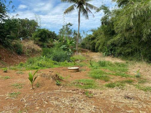 CHÍNH CHỦ BÁN 1,5HA ĐẤT RẪY ĐIỀU SỔ ĐỎ RIÊNG GIÁ TỐT