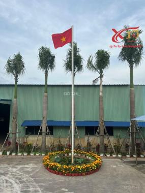 💥HOT Bán Xưởng 12000m2 Long Phước, Long Thành chỉ 60 Tỷ