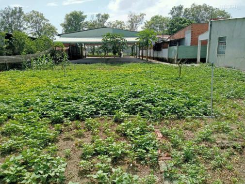 Bán đất Củ Chi xã An Phú; 5.9 tỷ; 926m2; MT đường 791, xe tải 8 tấn tới nơi