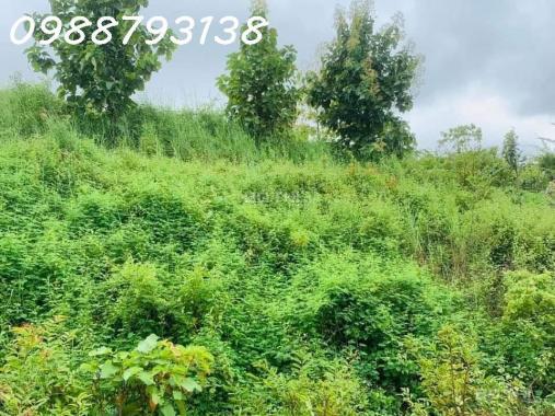CHÚ VOI CON Ở BẢN ĐÔN, TO MÀ GIÁ NHỎ, cưỡi chơi thong dong cũng có tiền