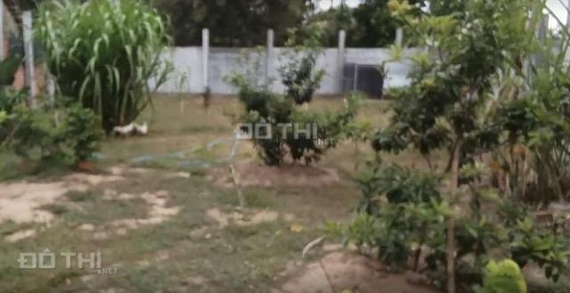 Bán đất tại Đường Tỉnh lộ 913, Xã Duyên Hải, Duyên Hải, Trà Vinh diện tích 500m2 giá 1.5 Tỷ