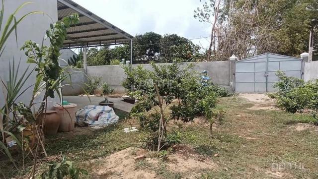 Bán đất tại Đường Tỉnh lộ 913, Xã Duyên Hải, Duyên Hải, Trà Vinh diện tích 500m2 giá 1.5 Tỷ