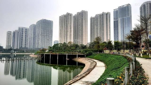 Mới! Ở đây có quỹ căn bán từ căn nhỏ đến căn to tại Vinhomes D'Capitale Trần Duy Hưng