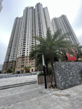 Mới! Ở đây có quỹ căn bán từ căn nhỏ đến căn to tại Vinhomes D'Capitale Trần Duy Hưng
