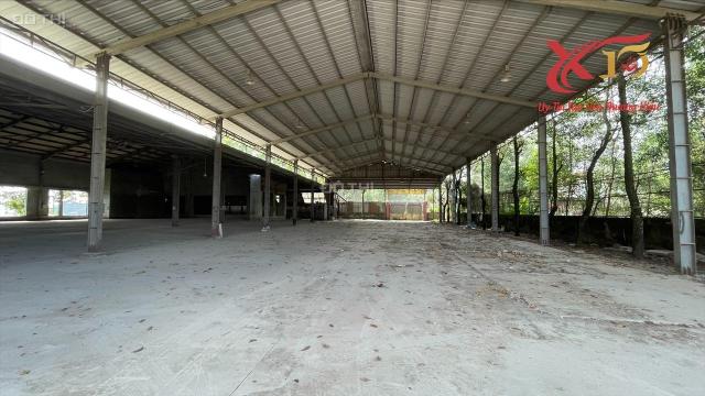 🌠 HOT!Cho thuê xưởng 3000m2 giá rẻ Thiện Tân, Vĩnh Cửu chỉ 80tr